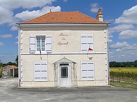 Town hall