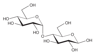 Maltose