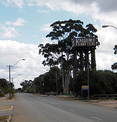 Merredin – Veduta