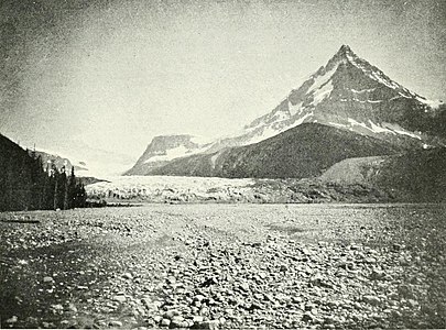 Der Mount Columbia (3747 m) in Alberta, 1908