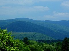 Le mont Greylock, point culminant du Massachusetts.