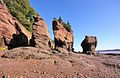 Les rochers d'Hopewell.