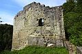 Grasburg castle ruins : rear section