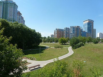 Овраг в парке «Никулино»