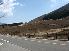 野焼き後のすすき草原