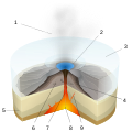 Image 27A diagram of a Subglacial eruption. (key: 1. Water vapor cloud 2. Crater lake 3. Ice 4. Layers of lava and ash 5. Stratum 6. Pillow lava 7. Magma conduit 8. Magma chamber 9. Dike) Click for larger version. (from Types of volcanic eruptions)