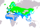 Aire de répartition du Chevalier gambette