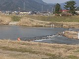 知内川の簗漁場