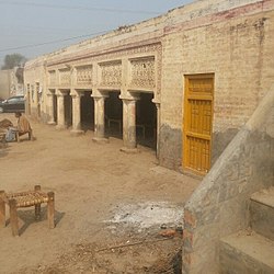 Dera Manj Masti Bhatti in Kot Sarwar