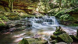 45. Platz: Buzzelwuz Neu! mit Kleiner Wasserfall im Monbachtal bei Bad Liebenzell, NSG Monbach