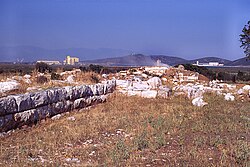 The remains of ancient Halos