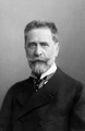 Ludwig Passini, 1899