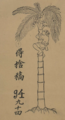 A man climbing an Areca tree to harvest betal nuts. The characters say, "𠊚捨稿, Người xả cau".