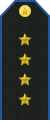 Service uniform shoulder board (Captain)