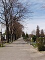 Cimetière d'Ottakring