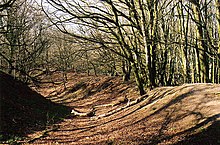 Ramparts inside Hembury hillfort