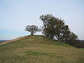 Blick auf den Pechberg