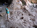 Rock mortars used to prepare malt for beer manufacture