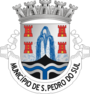 Brasão de São Pedro do Sul