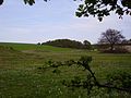 Seven Barrows - view of four of the barrows