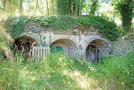 Cave à vin à Saint-Julien