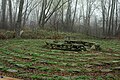 The Turtle Peace Labyrinth at the Teaneck Creek Conservancy, Ariane Burgess.