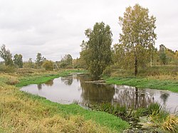 Река Уча в районе города Пушкино