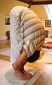 Uttanasana Standing Forward Bend