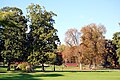 Scorcio degli alberi del parco