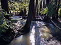 Adobe Creek (Santa Clara County, California)