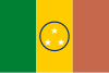 Flag of San Juan de Manapiare