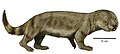 Bienotherium yunnanense