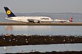 Deux avions se croisent à l'aéroport à proximité d'oiseaux.