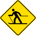 Skier crossing