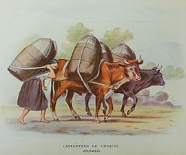 Charcoal burners of Choachí in 1850 by Ramón Torres Méndez.[5]