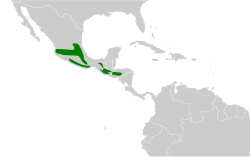 Distribución geográfica del colibrí verdemar.