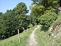 Itinerario naturalistico da Madonna delle Vigne a Langasco, lungo il tracciato dell'antica via Postumia