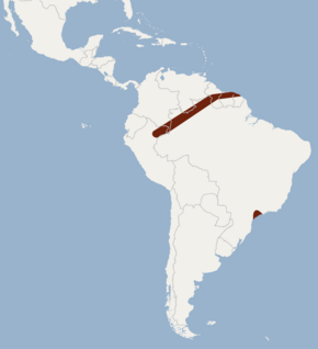 Description de l'image Distribution of Micronycteris brosseti.png.