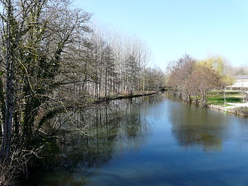 En aval du pont de la RD 708, la Dronne marque la limite entre Ribérac (à gauche) et Villetoureix.