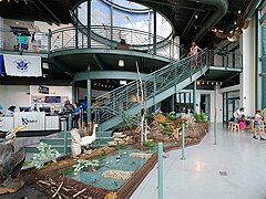 View of National Eagle Center 1st floor.