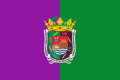 Bandera de Málaga