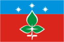 Flag of Pushchino