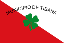 Drapeau de Tibaná