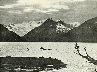 Der Fortress Lake in Alberta, 1908