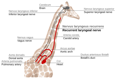 Figure 2f