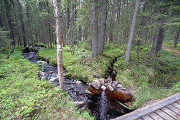 Stenarna hindrar Gulltjärnsbäcken att rinna ner mot silängarna. Samma stenar används också för att stänga för bäckens naturliga lopp så att vattnet rinner ner mot silängarna.