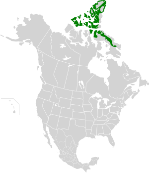 Ecoregion territory (in green)