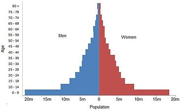 Overview of 2001 population, separated by gender and age bracket.