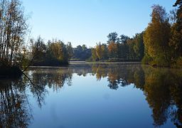 Långsjön på hösten