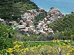 Manarola